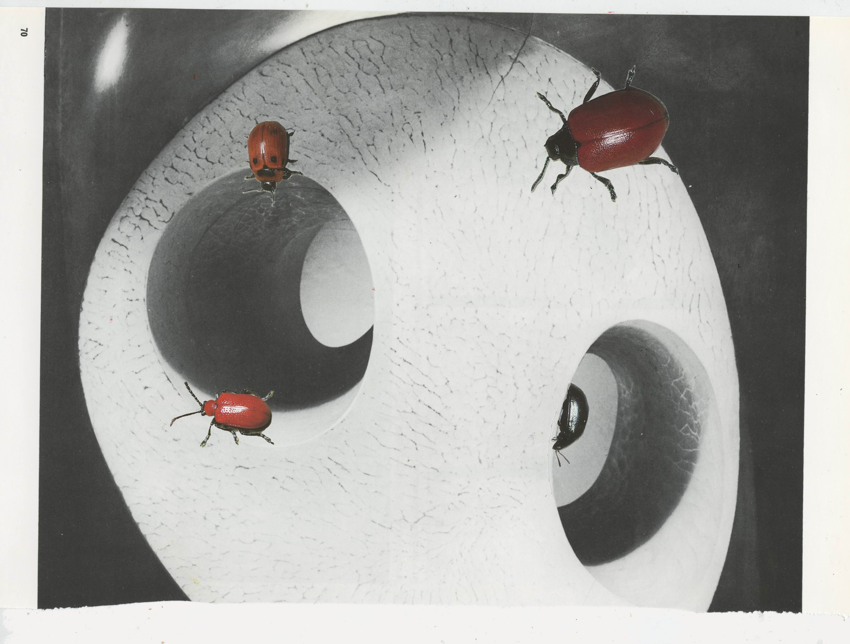 Hungry for Hepworth, 2024