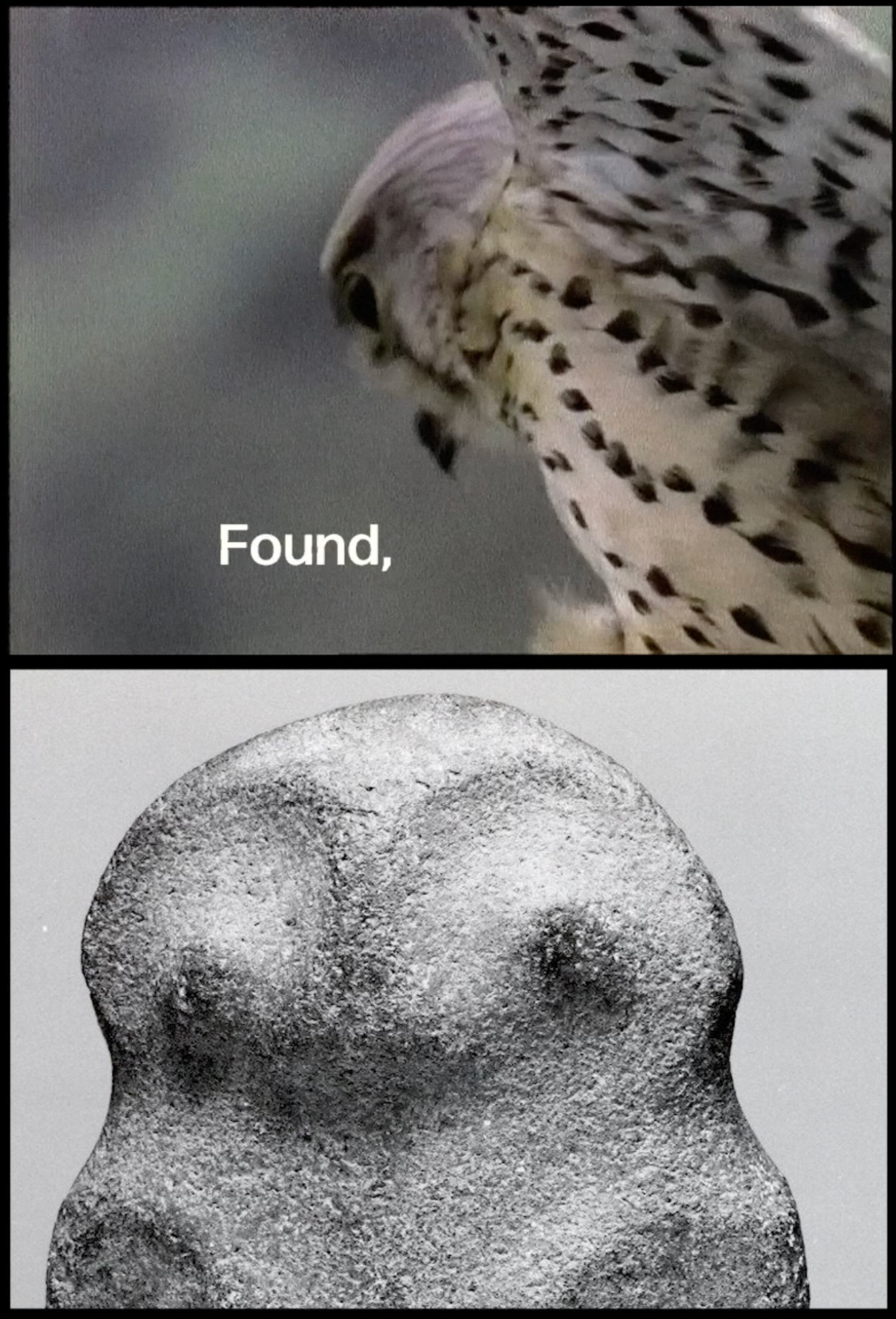 Found Acquired, 2025